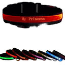 Led Dog Collar for Nighttime Safety