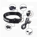 Led Dog Collar for Nighttime Safety