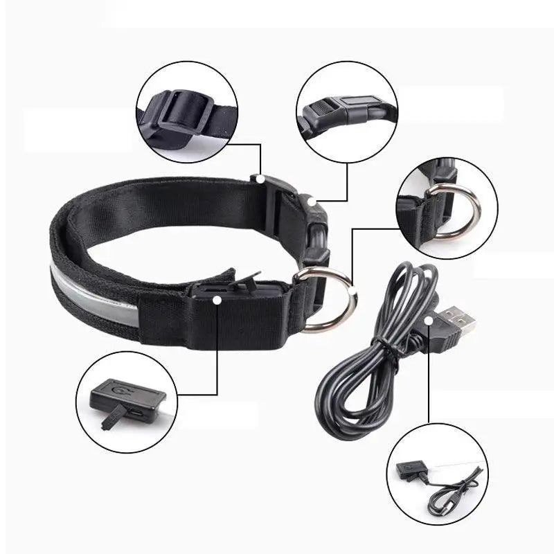 Light Up Your Pet LED Dog Collar With Engraved Tag