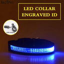 Light Up Your Pet LED Dog Collar With Engraved Tag