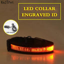 Light Up Your Pet LED Dog Collar With Engraved Tag