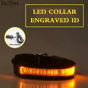 Light Up Your Pet LED Dog Collar With Engraved Tag