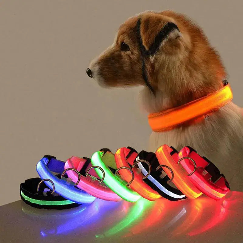 LED Dog Collar Light For Night Safety And Visibility