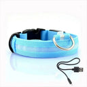 LED Dog Collar Light for Night Walks