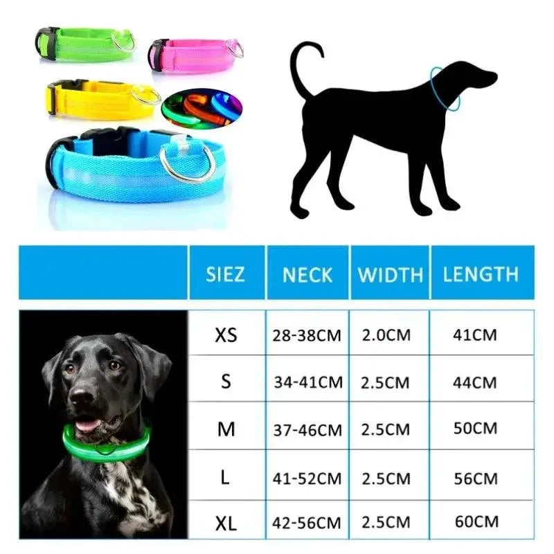 LED Dog Collar Light For Night Safety And Visibility