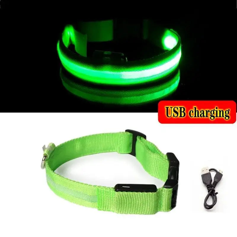 LED Dog Collar Light for Night Walks — product view 8