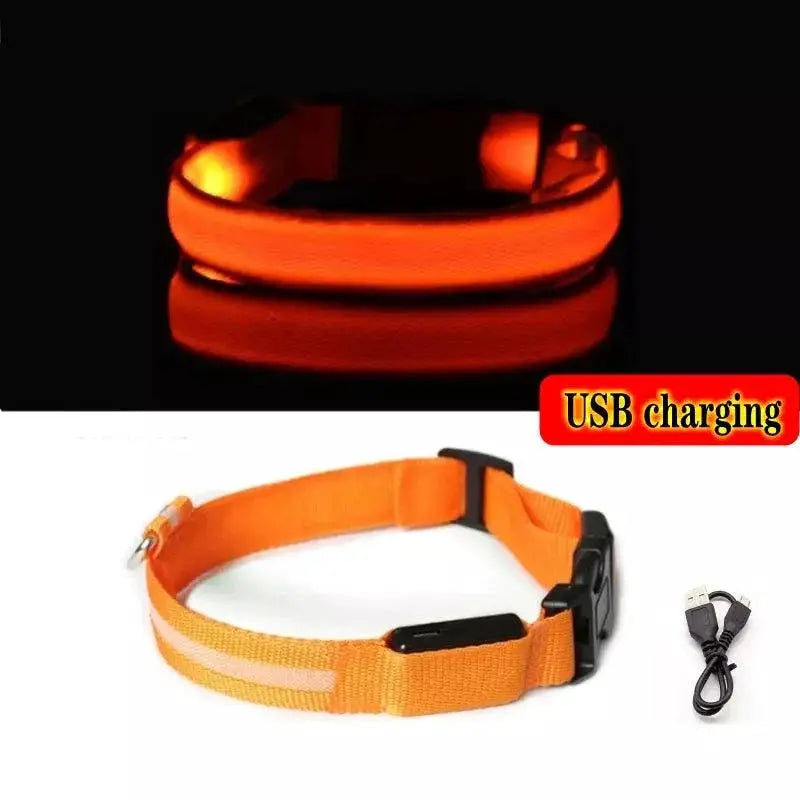 LED Dog Collar Light for Night Walks — product view 12