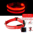 LED Dog Collar Light For Night Safety And Visibility