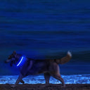 LED Dog Collar For Nighttime Visibility And Safety