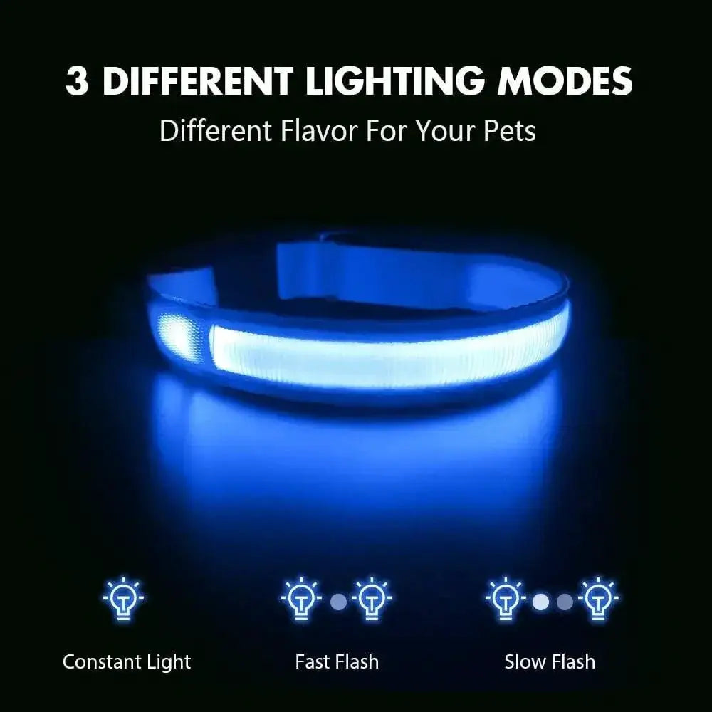 LED Dog Collar For Nighttime Visibility And Safety