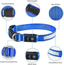 LED Dog Collar For Nighttime Visibility And Safety