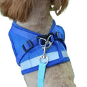 Comfort Dog Harness for Walks