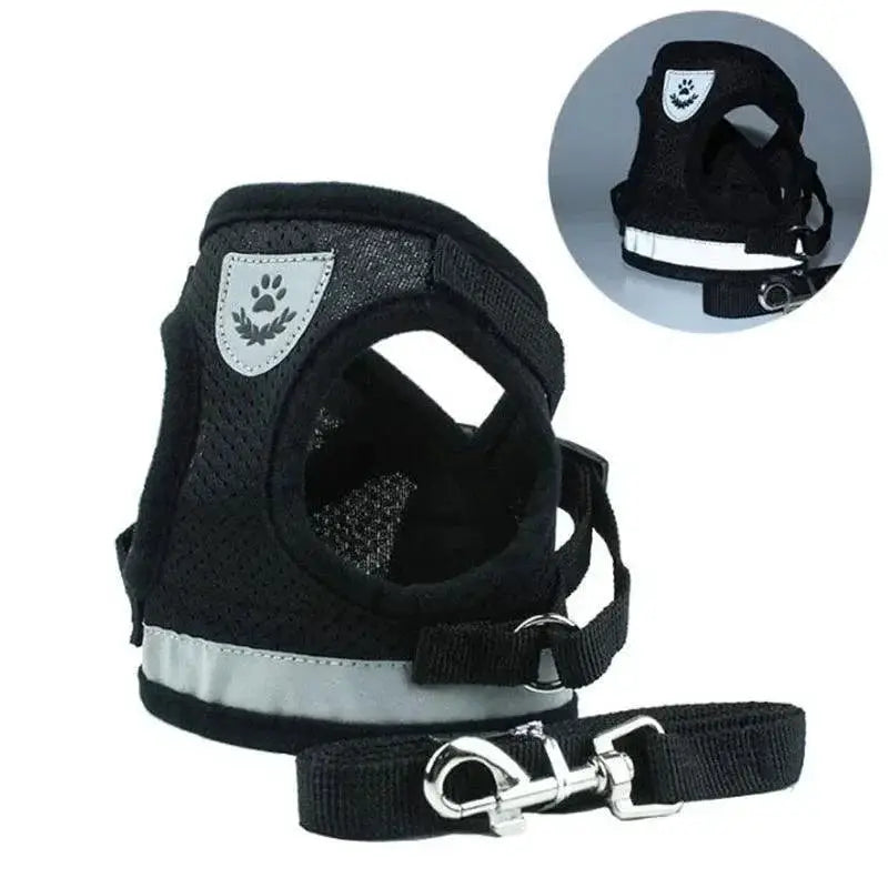 Adjustable Mesh Dog Harness With Leash For Comfort