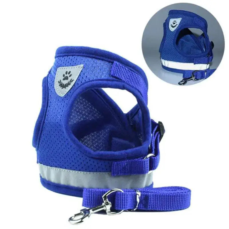 Adjustable Mesh Dog Harness With Leash For Comfort
