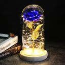 Romantic Galaxy Dome Decor for Couples