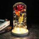 Enchanted Galaxy Rose Glass Dome Eternal Love Gift Deluxe