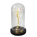 Enchanted Galaxy Rose Glass Dome Eternal Love Gift Deluxe