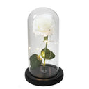 Enchanted Galaxy Rose Glass Dome Eternal Love Gift Deluxe