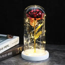 Enchanted Galaxy Rose Glass Dome Eternal Love Gift Deluxe