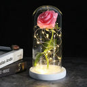 Enchanted Galaxy Rose Glass Dome Eternal Love Gift Deluxe