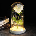 Enchanted Galaxy Rose Glass Dome Eternal Love Gift Deluxe