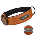 Leather Dog Collar with ID Tag