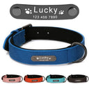 Leather Dog Collar with ID Tag