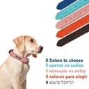 Leather Dog Collar with ID Tag
