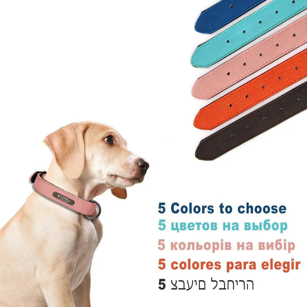 Leather Dog Collar Engraved ID Tag Personalized Pet