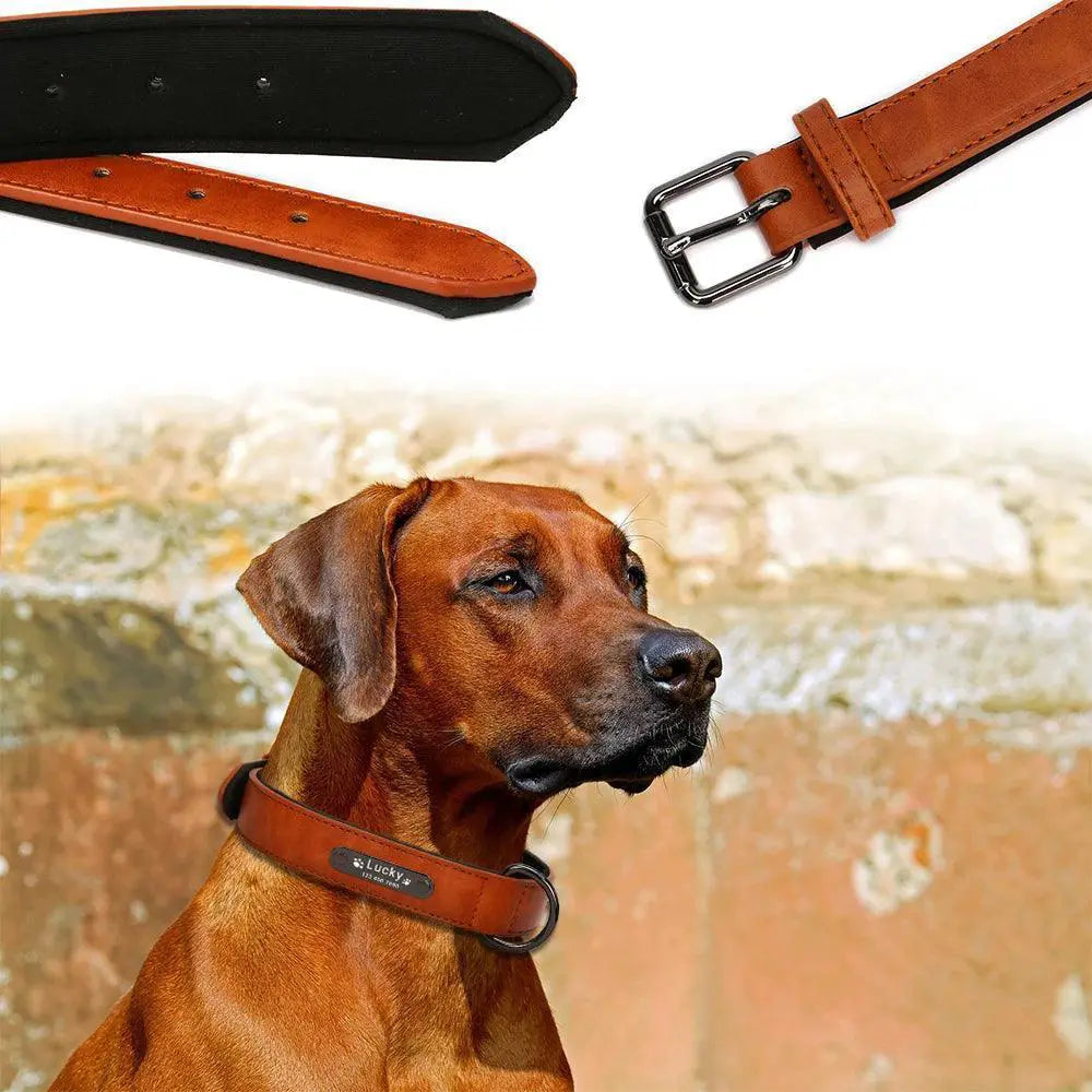Leather Dog Collar Engraved ID Tag Personalized Pet