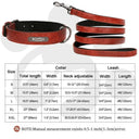 Leather Dog Collar with ID Tag