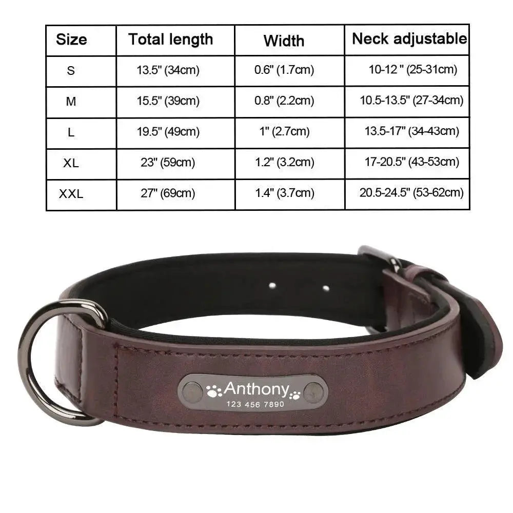 Leather Dog Collar Engraved ID Tag Personalized Pet
