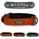 Elegant Engraved Leather Collar for Dogs