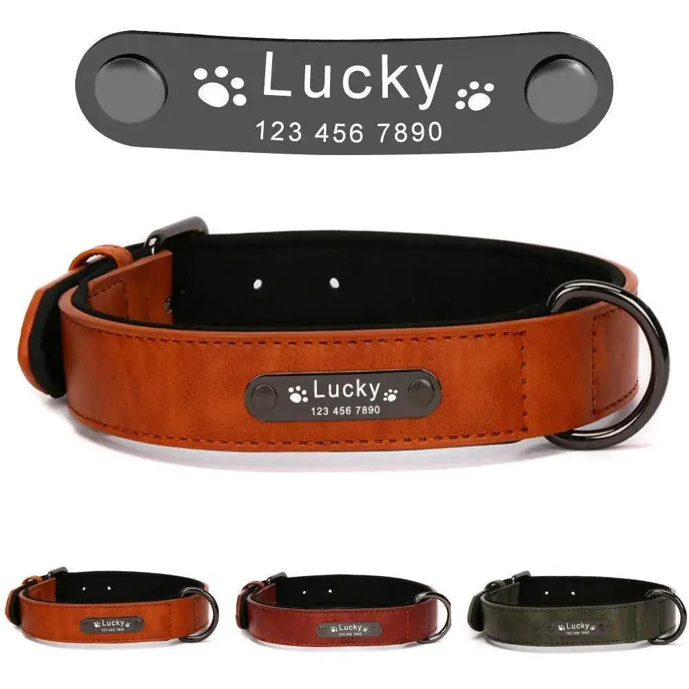 Luxurious Engraved Leather Dog Collar With Elegant Nameplate
