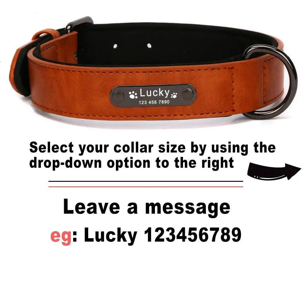 Luxurious Engraved Leather Dog Collar With Elegant Nameplate