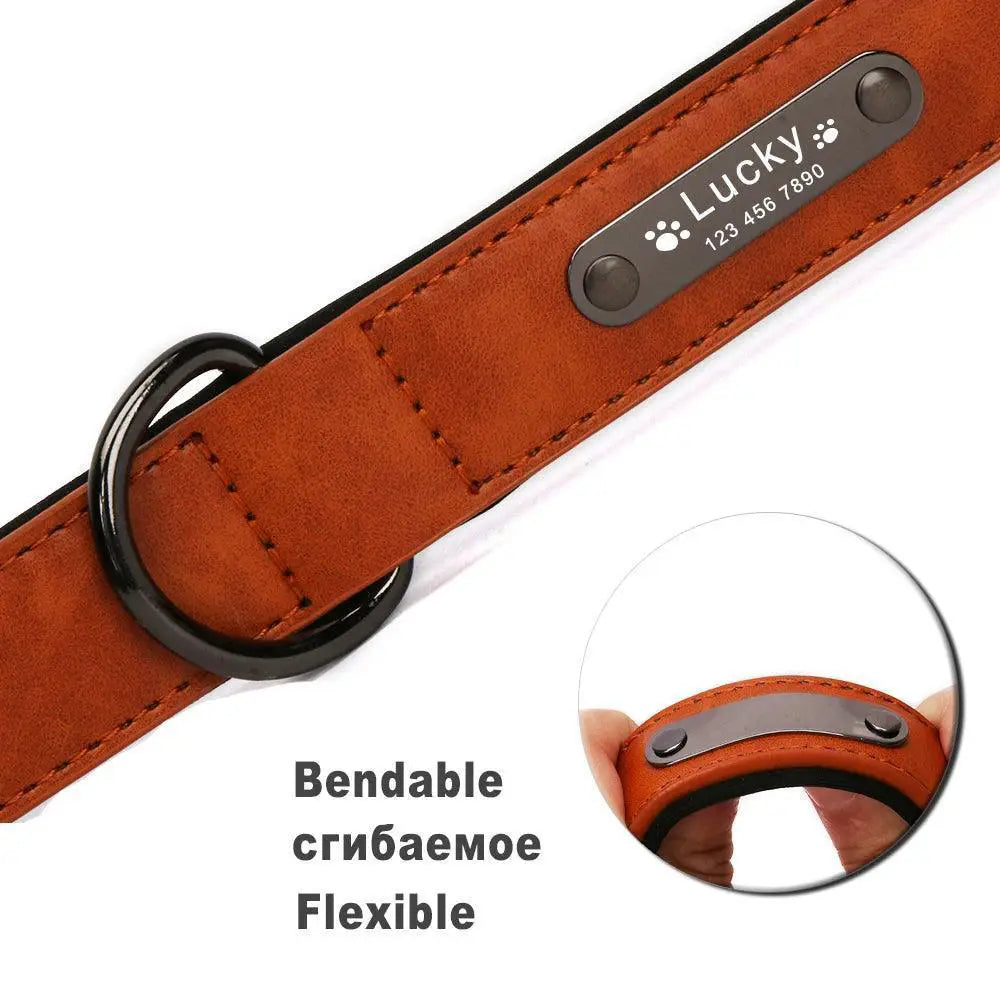 Luxurious Engraved Leather Dog Collar With Elegant Nameplate