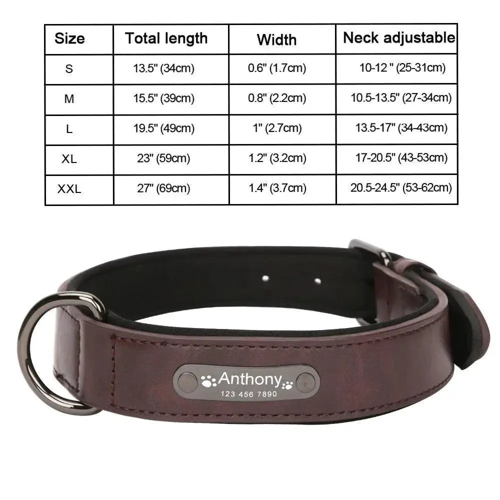 Luxurious Engraved Leather Dog Collar With Elegant Nameplate