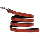 Luxurious Engraved Leather Dog Collar With Elegant Nameplate
