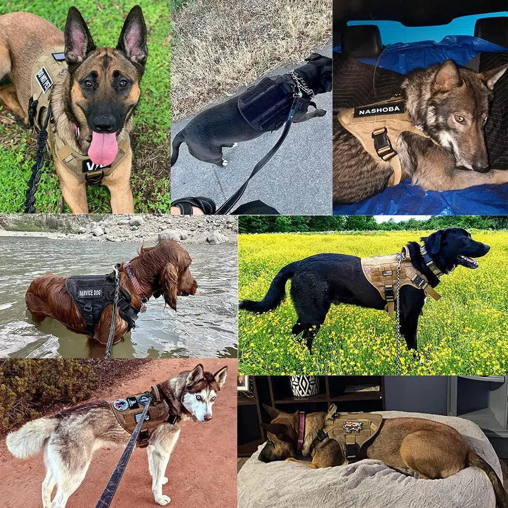 German Shepherd Training Harness And Leash Set All Breeds