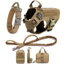 Safe Dog Harness And Leash For Training