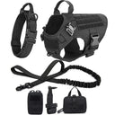 Safe Dog Harness And Leash For Training