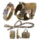 Safe Dog Harness And Leash For Training