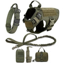 Safe Dog Harness And Leash For Training