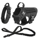 Safe Dog Harness And Leash For Training