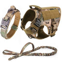 Safe Dog Harness And Leash For Training
