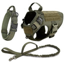 Safe Dog Harness And Leash For Training