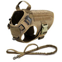Safe Dog Harness And Leash For Training
