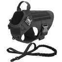 Safe Dog Harness And Leash For Training