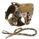 Safe Dog Harness And Leash For Training