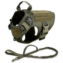 Safe Dog Harness And Leash For Training